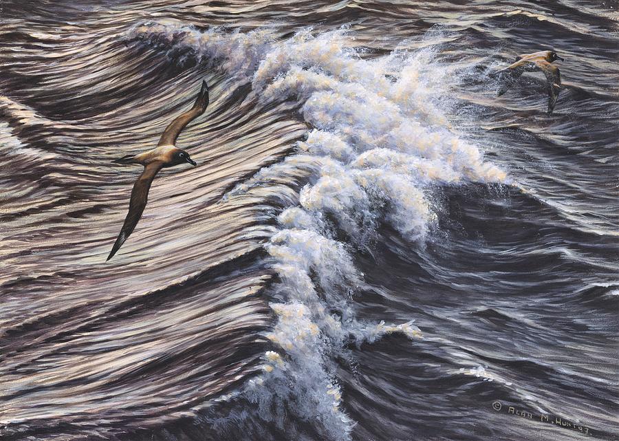 Great Skua Seabirds by Alan M Hunt Painting by Alan M Hunt
