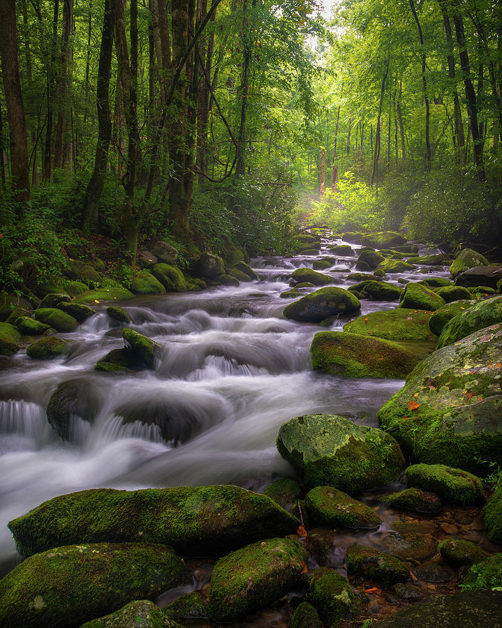 Great Smoky Mountains Gatlinburg Tennessee by Mike Koenig Great Smoky Mountains Gatlinburg Tennessee by Mike Koenig