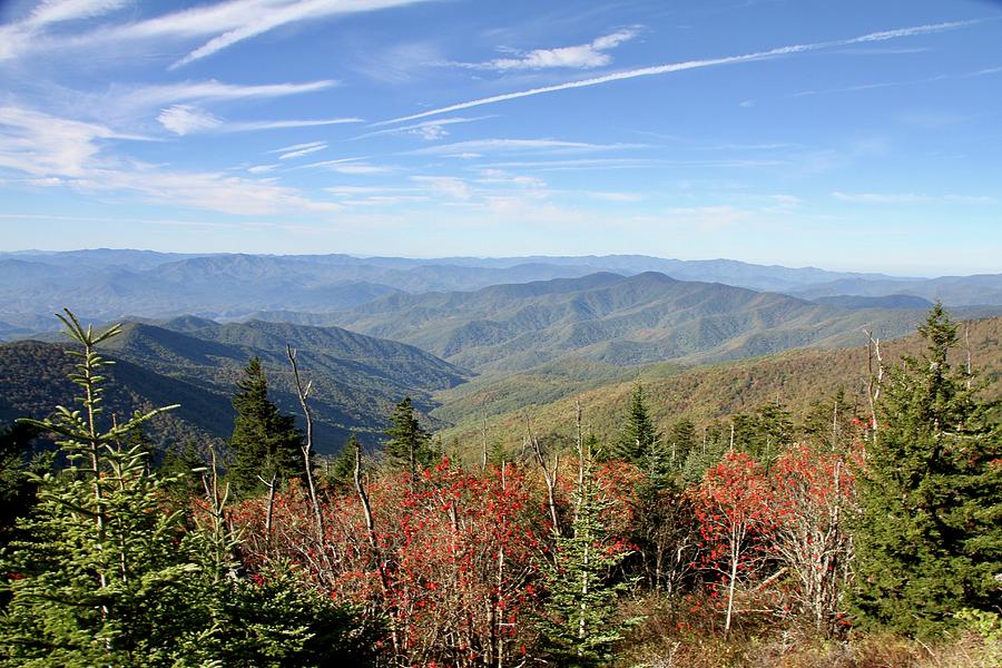 Great Smoky Mountains National Park Photograph by Alicia McGowan - Fine ...