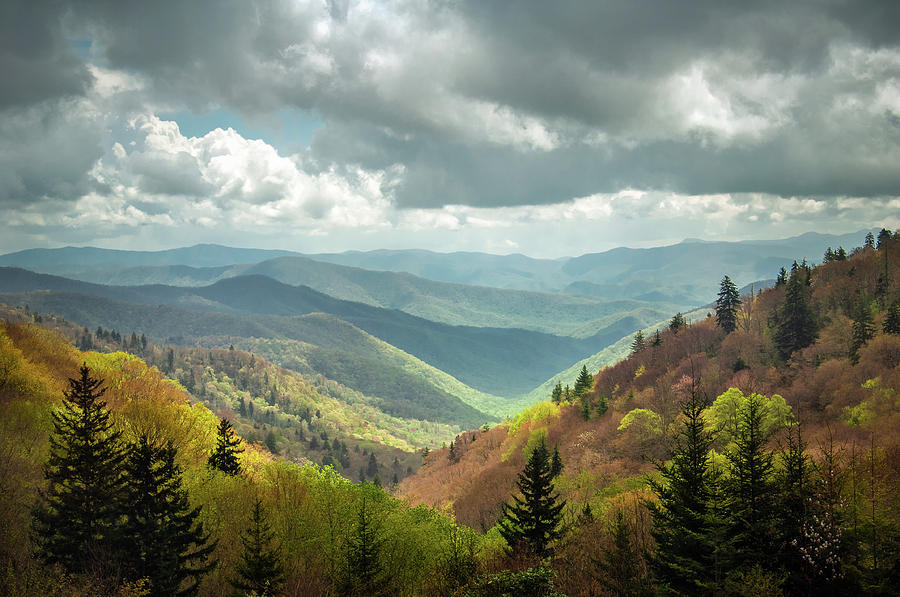 Great Smoky Mountains National Park Nc Arrival Photograph by Robert ...