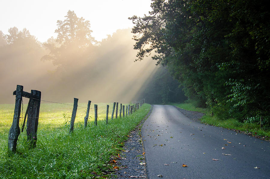 Great Smoky Mountains National Park TN Cades Cove Road To Heaven Photograph by Robert Stephens