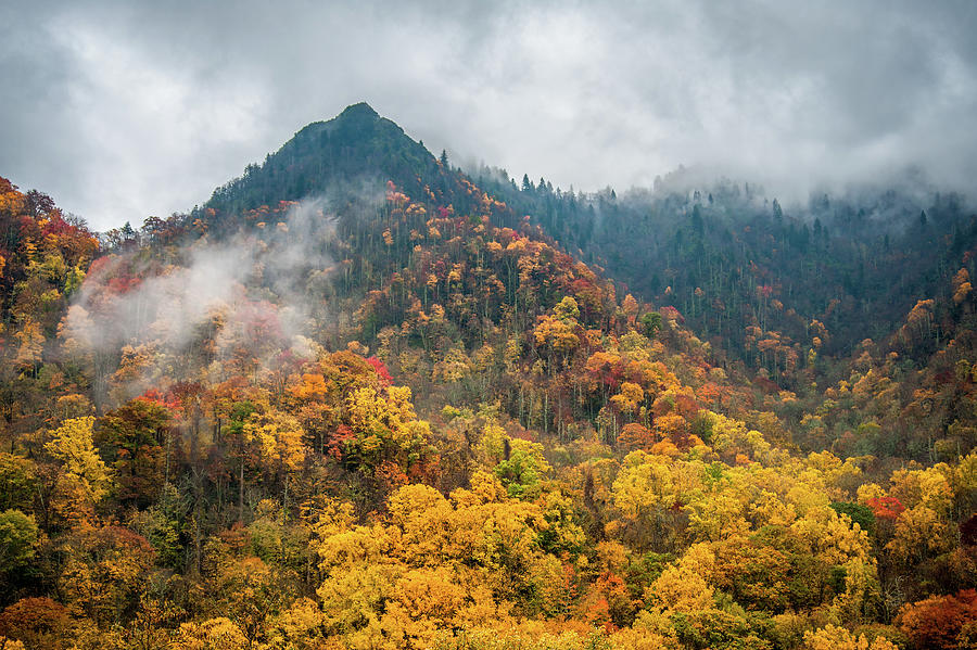 Great Smoky Mountains National Park TN Chimney Tops Autumn Photograph by Robert Stephens