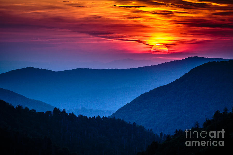 Forest Photograph - Great Smoky Mountains National Park by Weidman Photography Forest Photograph - Great Smoky Mountains National Park by Weidman Photography