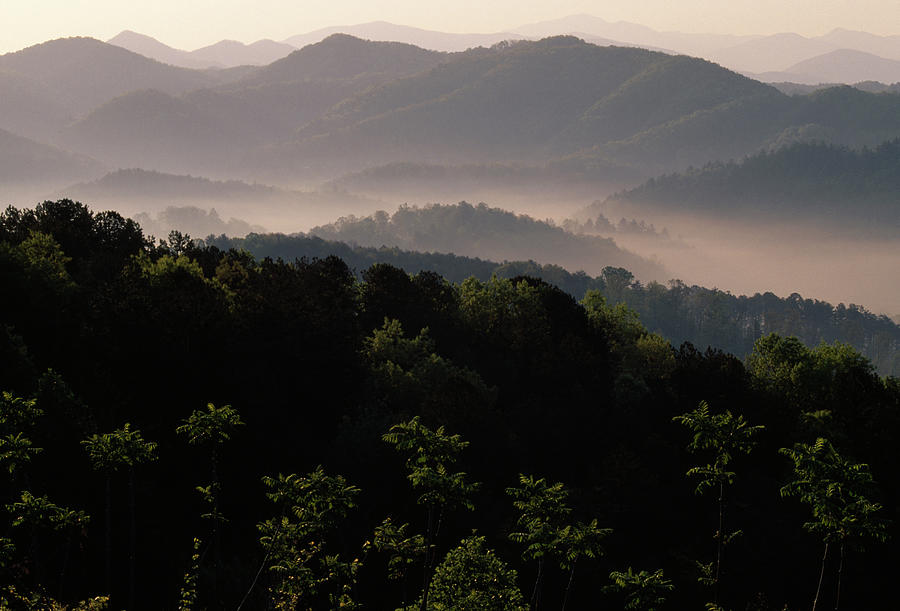 Great Smoky Mountains N.p. At Dawn Photograph by Nhpa