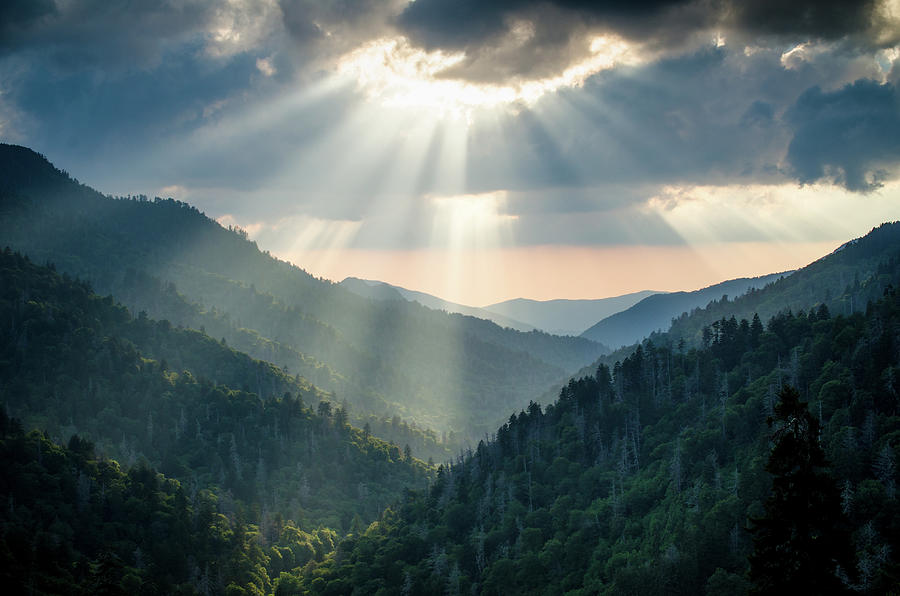 Great Smoky Mountains TN Smoky Mountain Spotlight Photograph by Robert Stephens