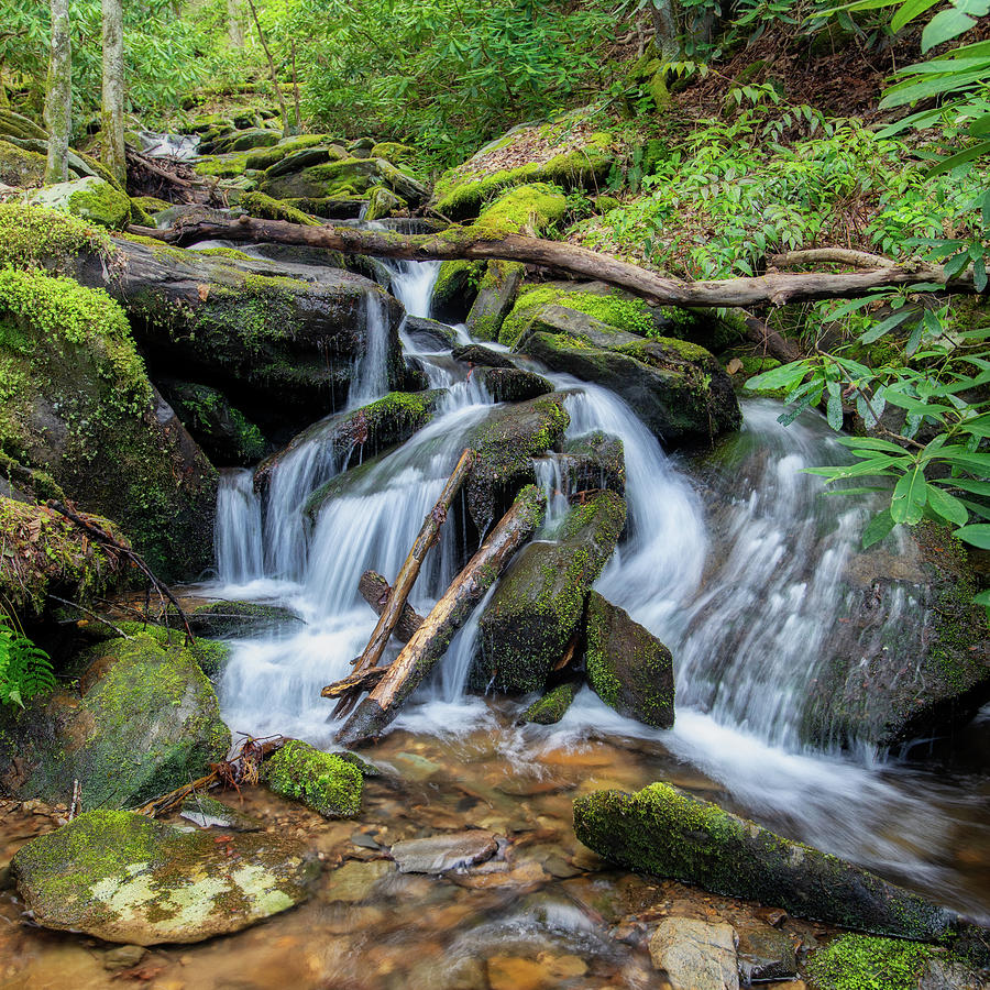 Great Smoky Stream Photograph by Jerry Fornarotto
