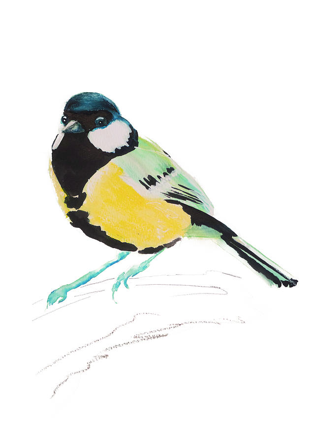 Nature Drawing - Great tit special bird illustration by Angela Peters