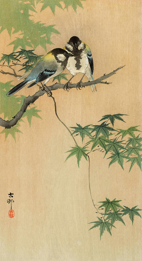 Ohara Koson Painting - Great tits on maple branch, 1936 by Ohara Koson