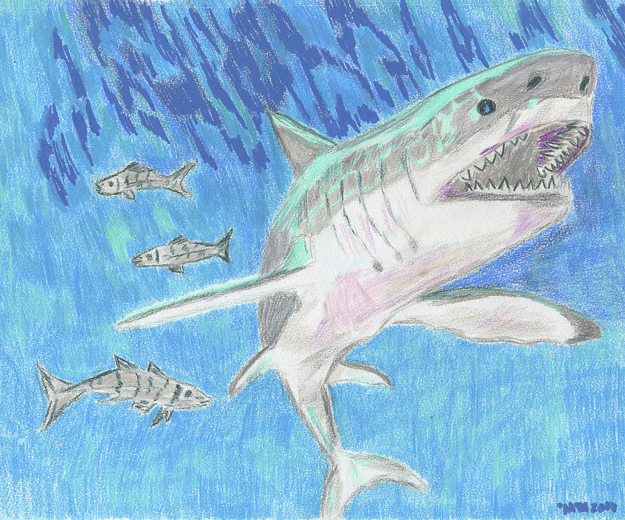Great White Shark Drawing -  Great White Shark  by Merrill Mitchell
