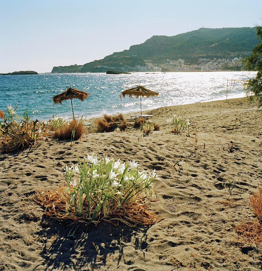 Greece, Dodecanese, Pigadia Bay Digital Art by Johanna Huber