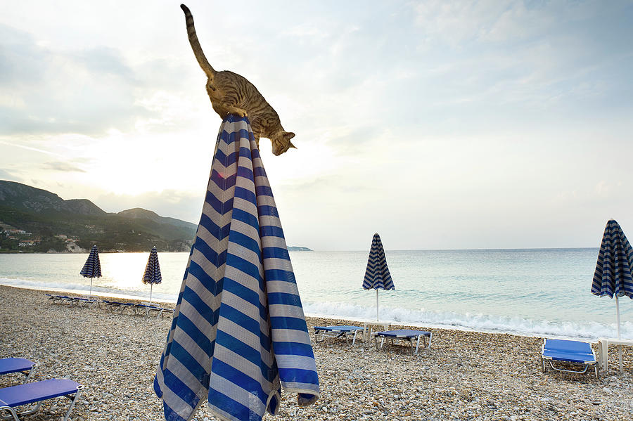 Greece, Samos Island, Kokkari Bay Digital Art by Natalie Sternberg