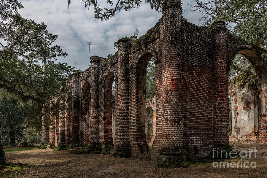 Greek Revival Architecture - Old Sheldon Church Ruins Photograph by Dale Powell