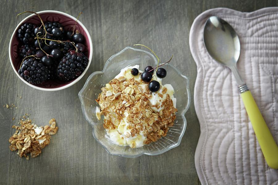 Greek Photograph - Greek Yoghurt With Honey, Cereals And Berries by Debby Lewis-harrison