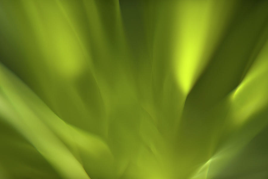 Green Abstract Light Digital Art by Ralf Hiemisch
