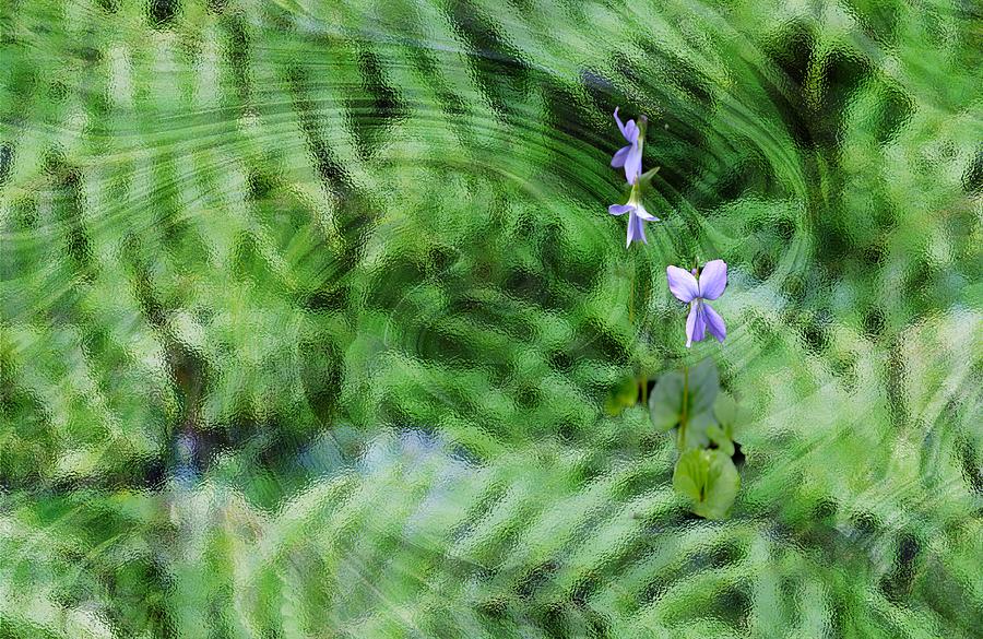 Green Abstract with Violets by Roy Erickson Green Abstract with Violets by Roy Erickson