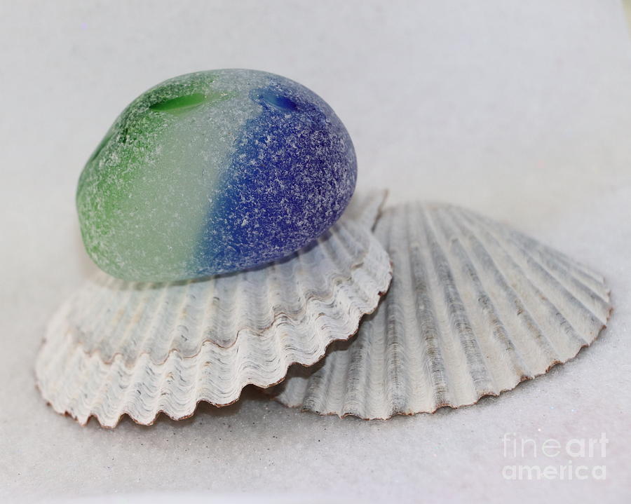 Green and blue sea glass Photograph by Janice Drew