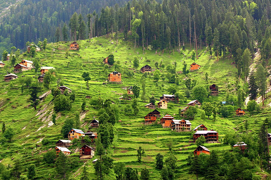 Green And Peace, Kashmir, Pakistan Photograph by Amir Mukhtar