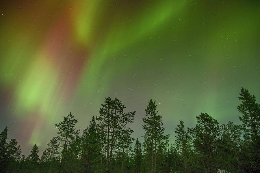 green-and-red-polar-lights-photograph-by-nelly-volkovich