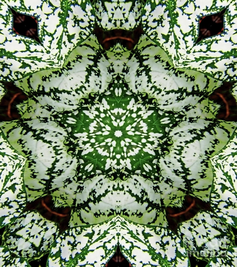 Green And White Digital Art by D Hackett