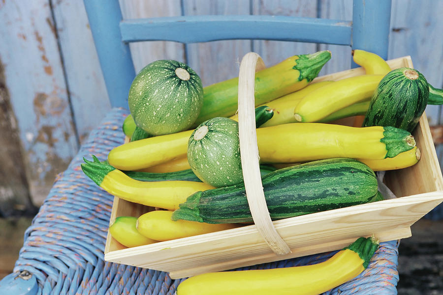 Green And Yellow Courgettes Digital Art by Jenny Cundy - Pixels Merch