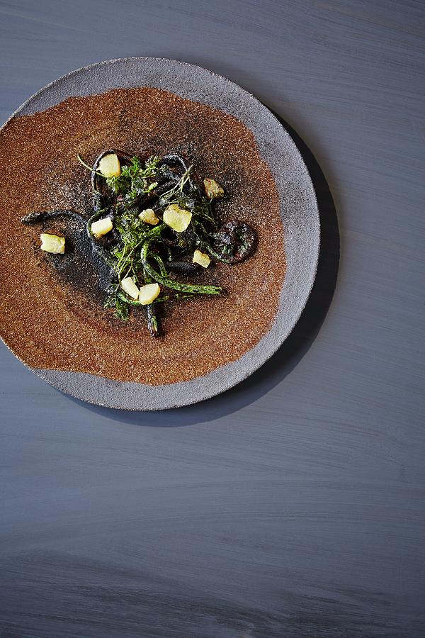 Green Asparagus From Gotland And Fiddlehead Fern In Black Skilleby Garlic And Rhubarb At The oaxen Krog Restaurant In Stockholm Photograph by Jalag / Sren Gammelmark