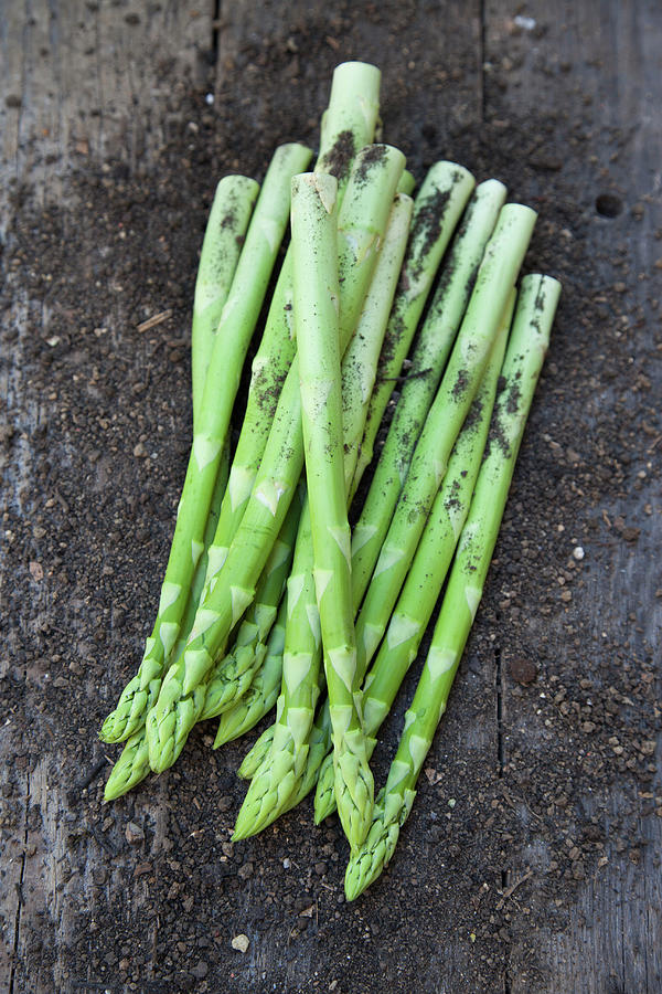 Green Asparagus With Soil On A Wooden Background Photograph by Julia Skowronek