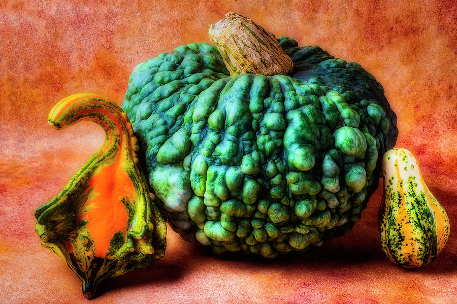 Green Autumn Pumpkin Photograph by Garry Gay