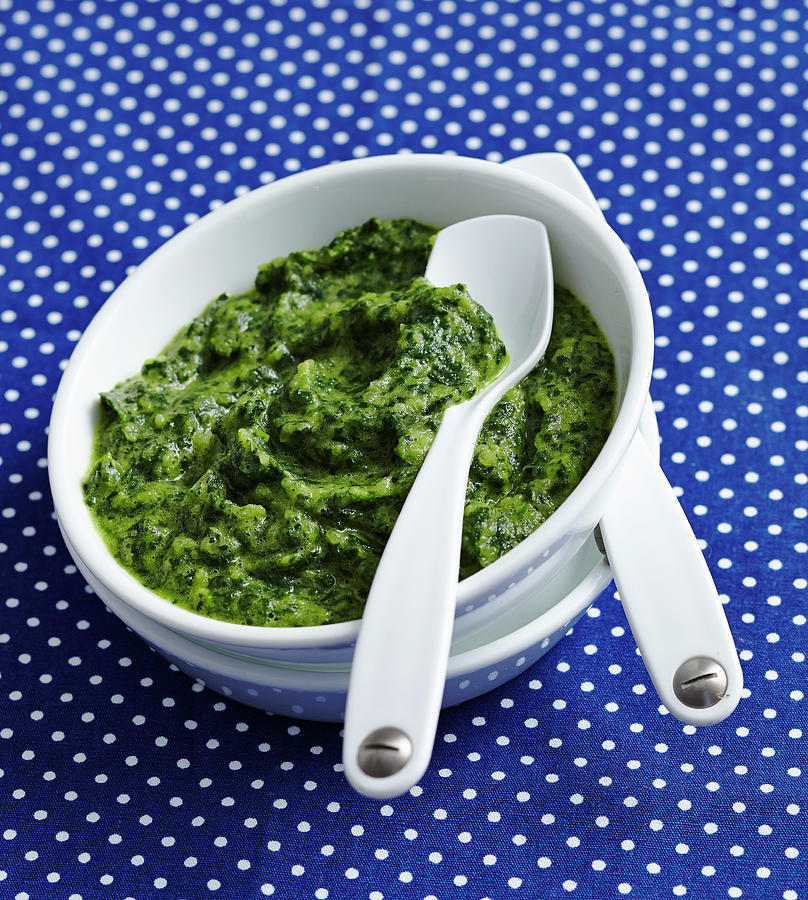 Green Baby Food Made With Spinach And Kohlrabi Photograph by Teubner Foodfoto