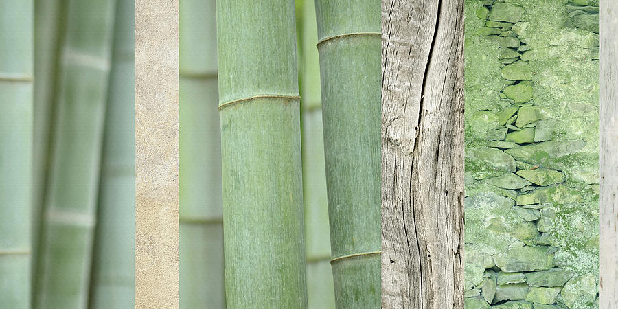 Pattern Photograph - Green Bamboo Collage by Cora Niele