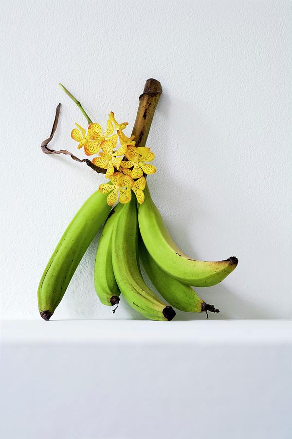 Green Bananas And Yellow Orchids Photograph by Michael Wissing