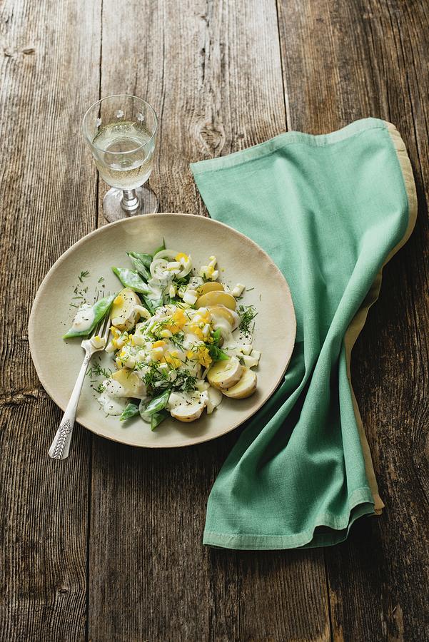 Green Bean, Egg, And Potato Salad With A Sour Cream And Dill Dressing Photograph by Hans Gerlach