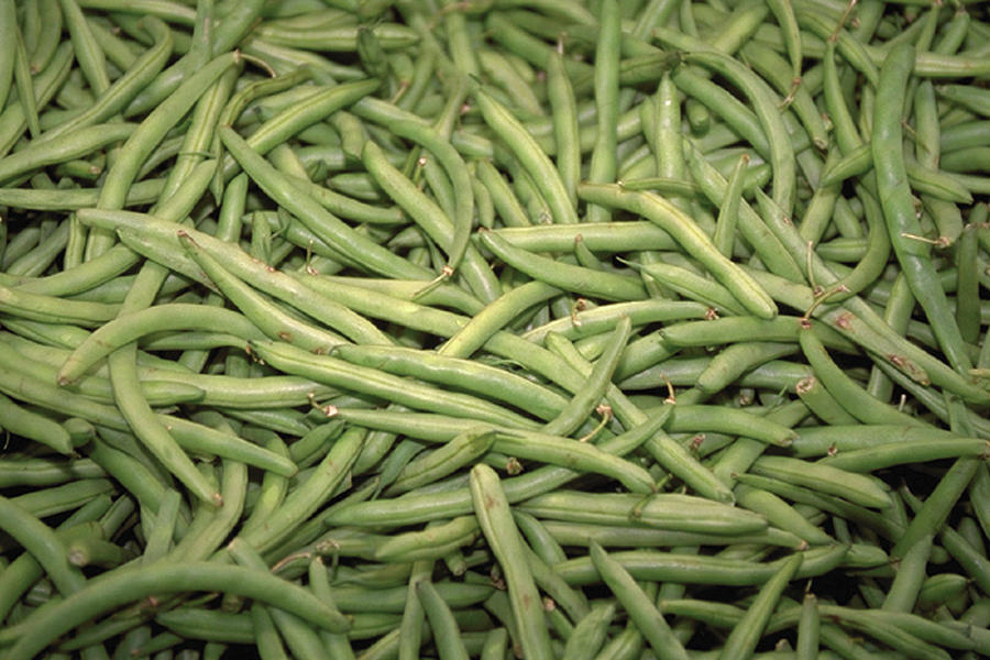 Green Beans by Paris Pierce