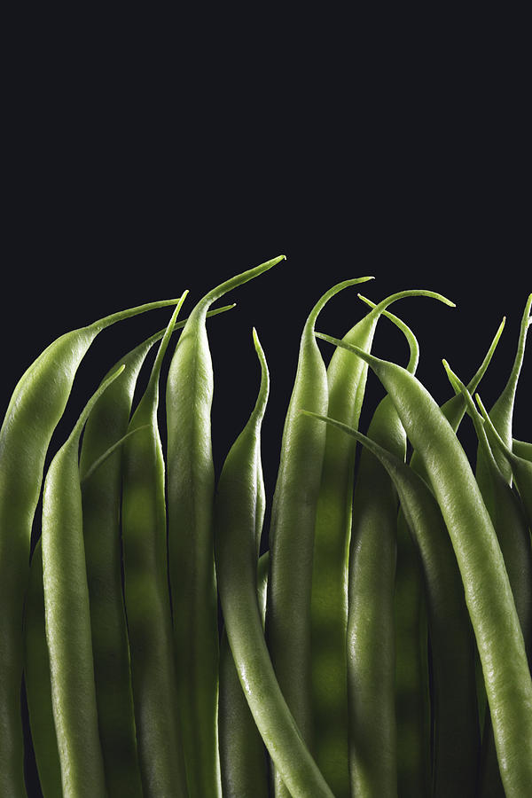 Green Beans Photograph by Paul Taylor