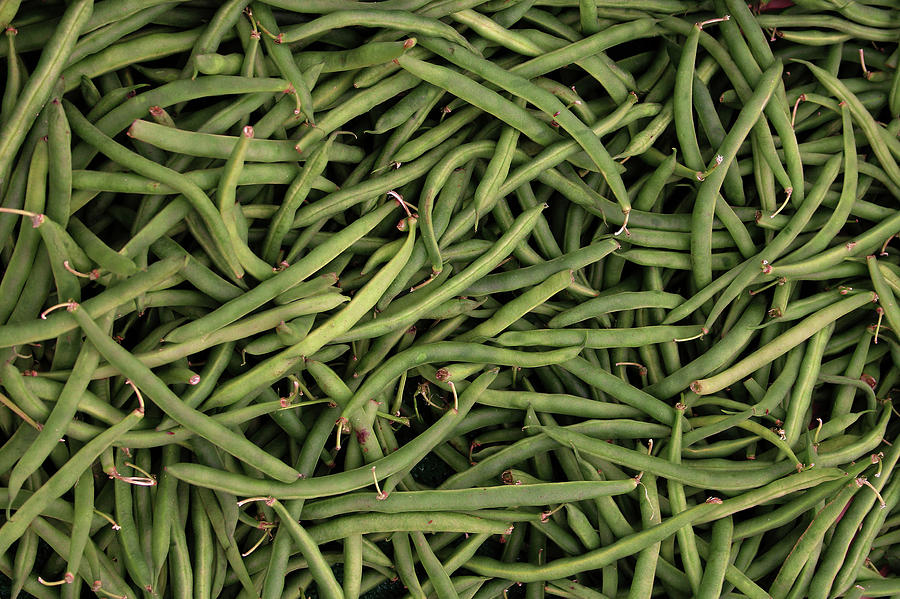 Green Beans Photograph by Robert Wilder Jr