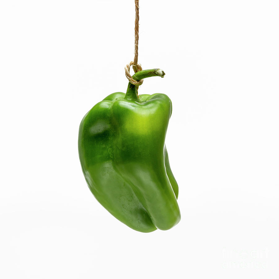 Vegetable Photograph - Green bell pepper on a white background by Bernard Jaubert