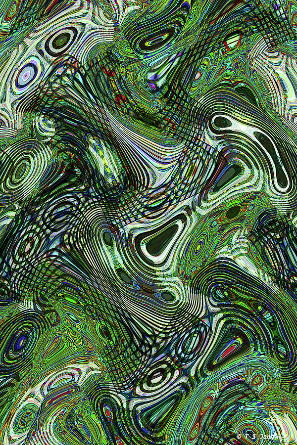 Green Black And White Abstract Digital Art by Tom Janca