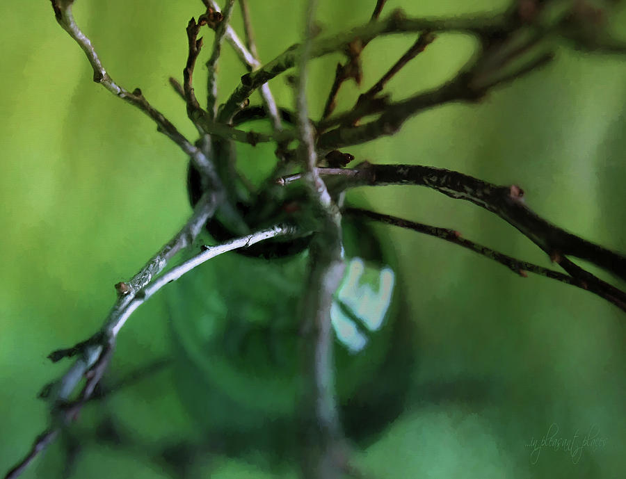 Green Bottle with Twigs Digital Art by Joanna Kovalcsik