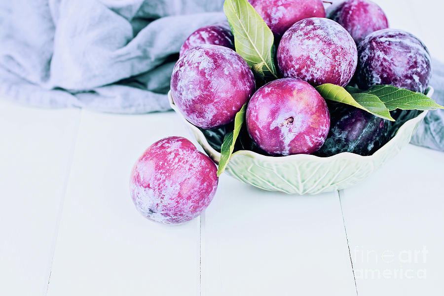 Green Bowl of Fresh Pickked Organic Plums Photograph by Stephanie Frey