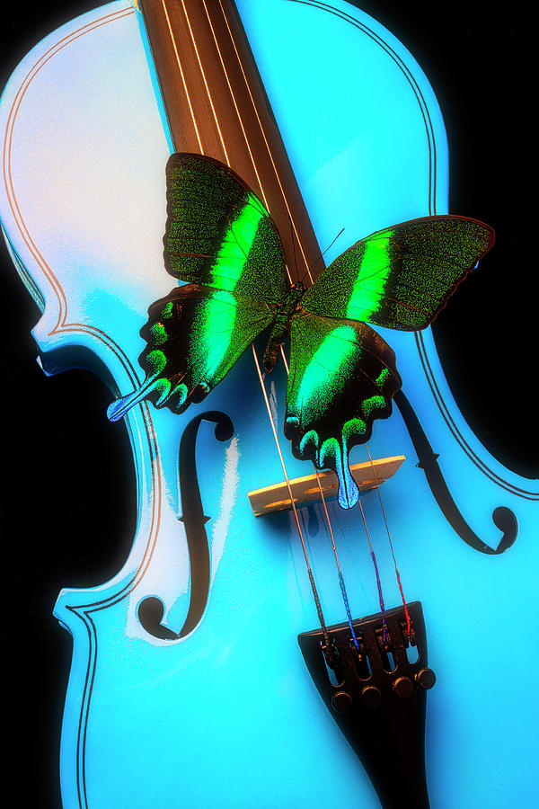 Green Butterfly On Blue Violin Photograph by Garry Gay
