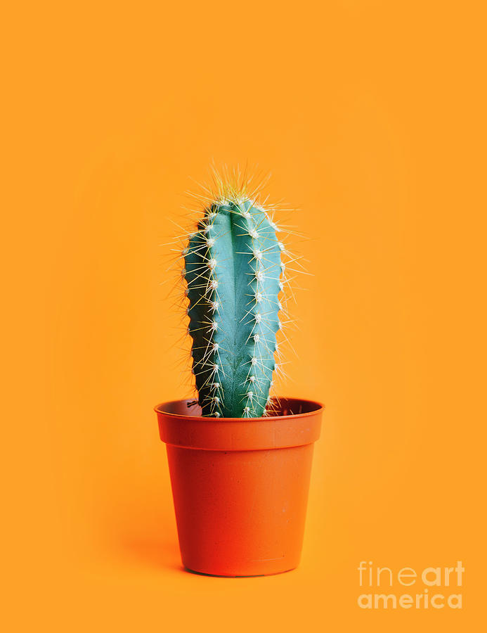 Green cactus in decor pot over bright orange pastel background.  Photograph by Jelena Jovanovic