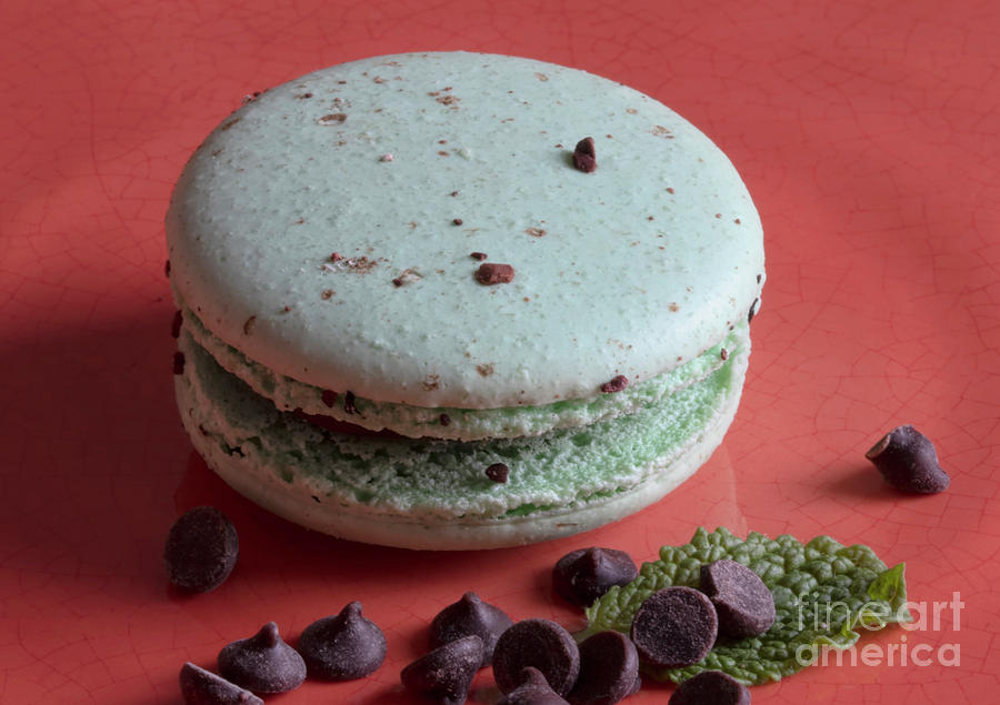 Cookie Photograph - Green Chocolate Mint Macaron by Elisabeth Lucas