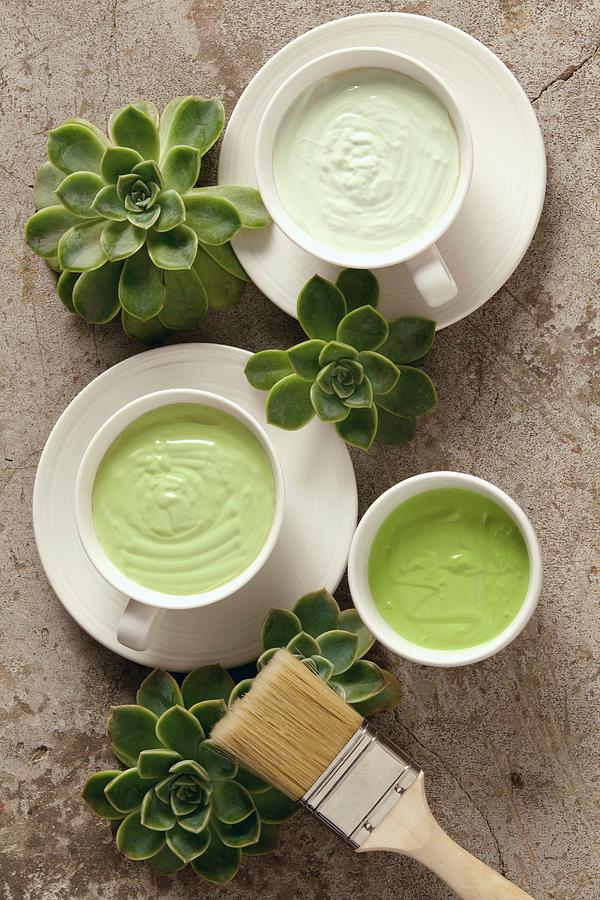 Still Life Photograph - Green Creamy Paints In White Ceramic Teacups Arranged With Succulents And Paintbrush by Great Stock!