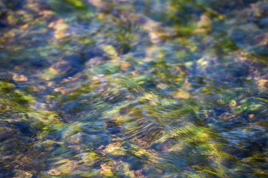 Green Creek Ripples by Lauri Novak Green Creek Ripples by Lauri Novak