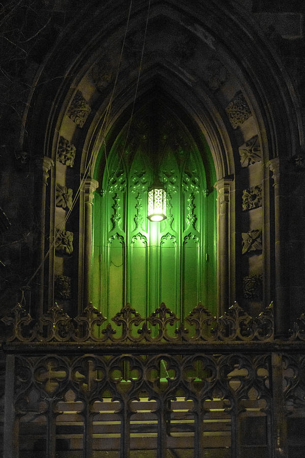 Green Door At Night Photograph by Sharon Popek