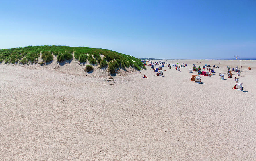 Green dune in Amrum Photograph by Sun Travels