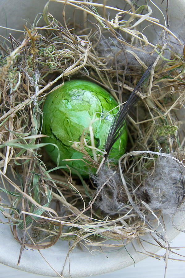Green Easter Eggs In Hay Nest Photograph by Martina Schindler