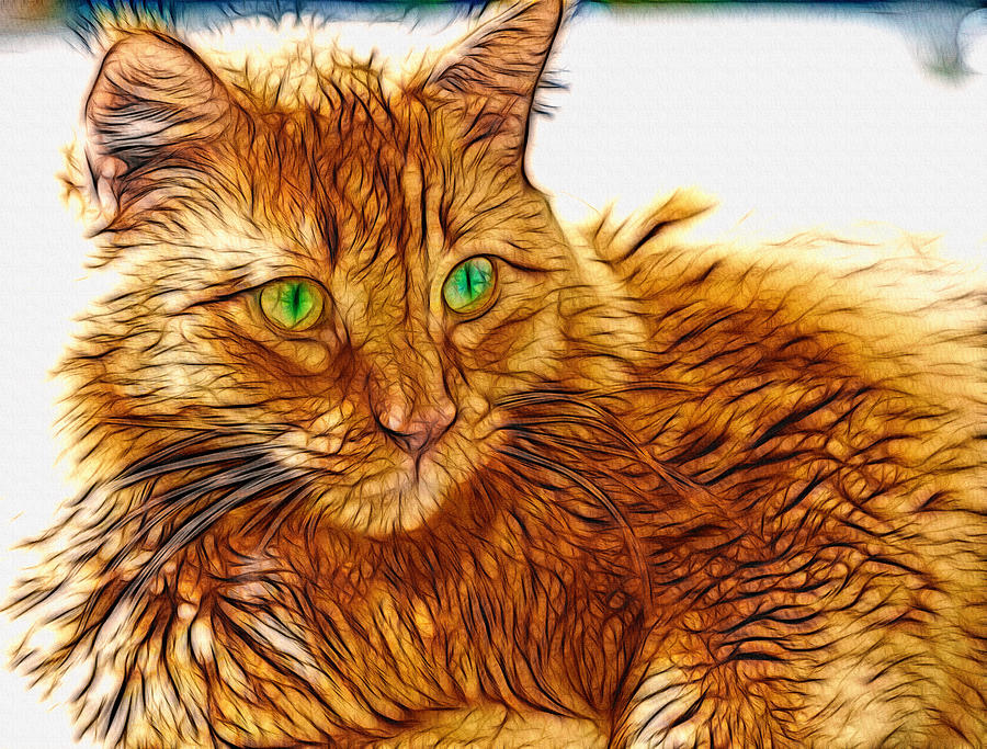 Green Eyed Tabby Cat Digital Art by Don Northup