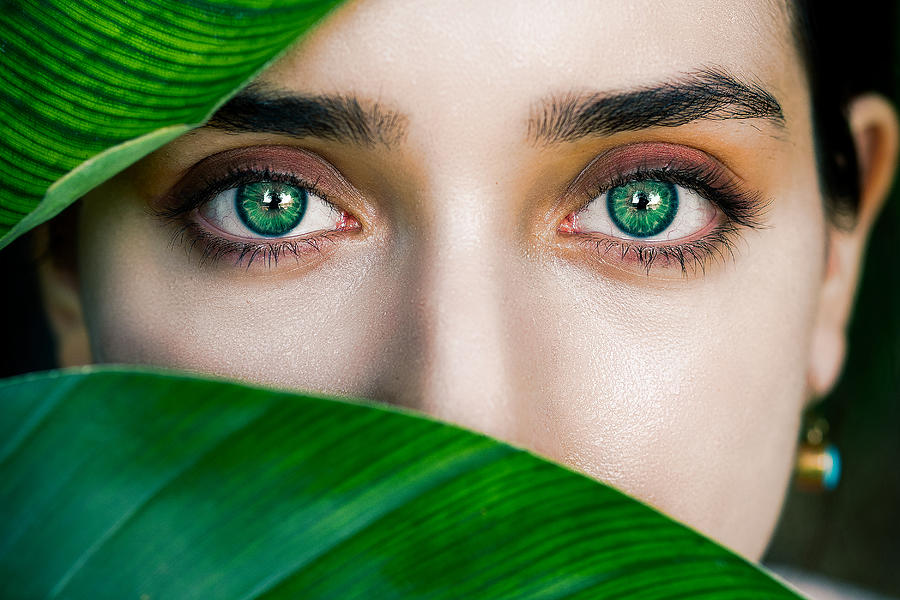 Green Eyes Photograph by Amir Heydari - Fine Art America