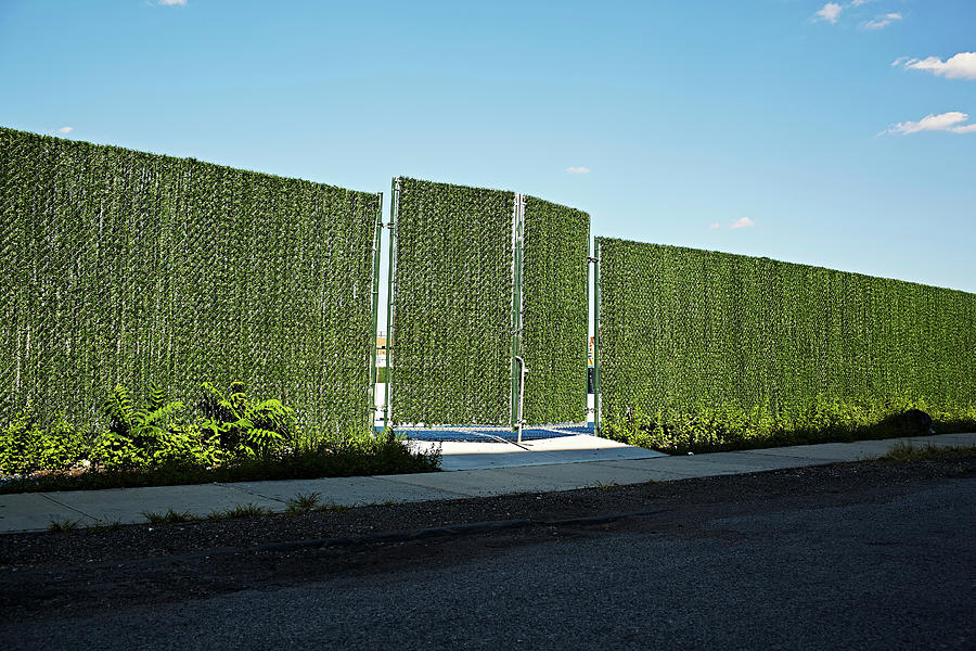 Green Fence And Gate Digital Art By Jpm | Fine Art America