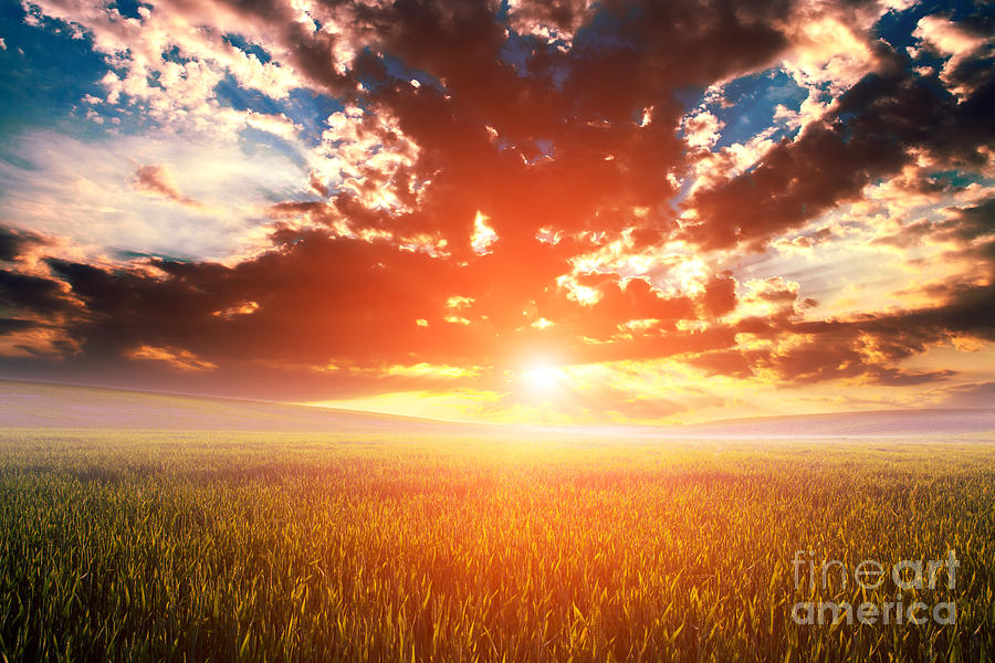 Beam Photograph - Green Field And Beautiful Sunset by Ruslan Ivantsov Beam Photograph - Green Field And Beautiful Sunset by Ruslan Ivantsov